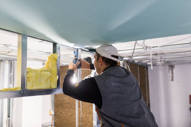 Best Fiberglass Insulation  in Emma, NC