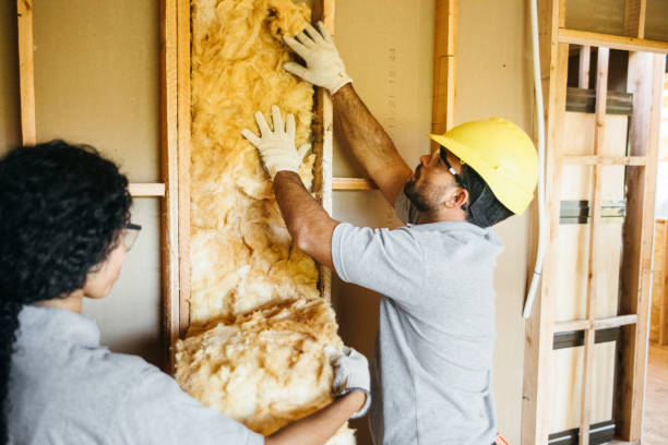 Best Commercial Insulation Contractor  in Emma, NC