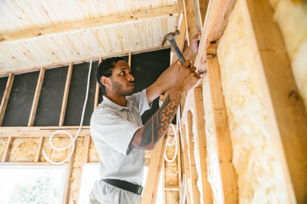Best Blown-in Insulation  in Emma, NC