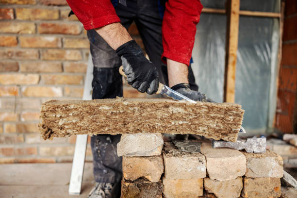 Best Insulation Removal  in Emma, NC