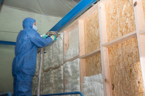 Best Local Insulation Services  in Emma, NC