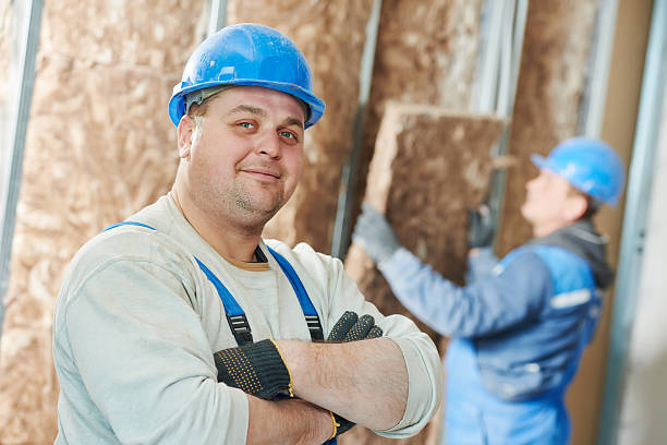 Best Energy-efficient Insulation  in Emma, NC