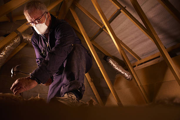 Best Insulation Contractors for Homes  in Emma, NC